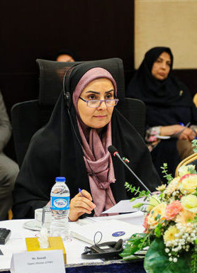 وزیر راه و شهرسازی بر سیر منظم قطار برنامه‌ای اکو در مسیر اسلام‌آباد- تهران-استانبول تاکید کرد