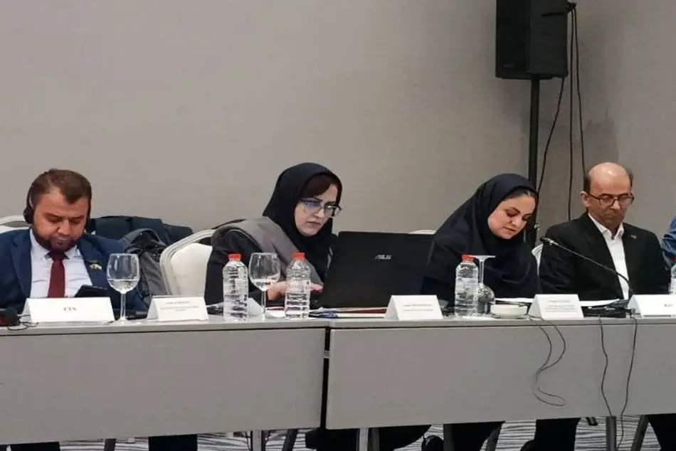 اتحادیه بین المللی راه آهن ها از عملکرد دفتر منطقه ای خاورمیانه در تهران قدردانی کرد