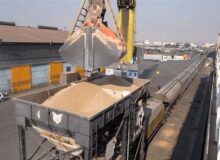 بارگیری بیش از ۱۷۳ هزار تن گندم در راه آهن اراک